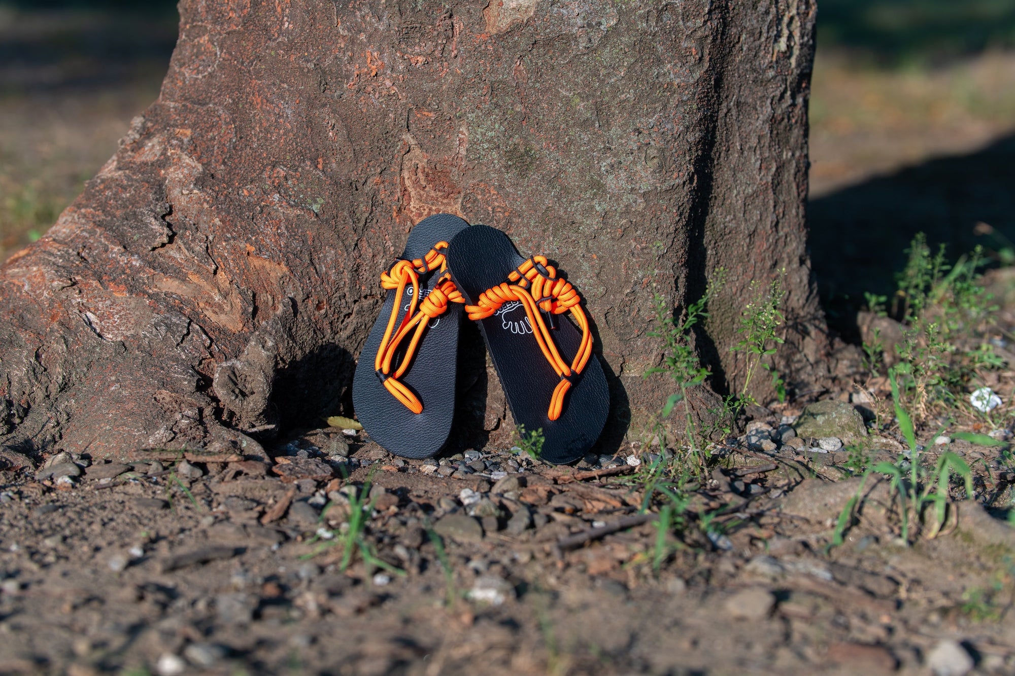 【年末年始営業のお知らせ📢】